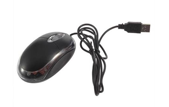 mouse